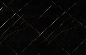 8231 Negra Rayas